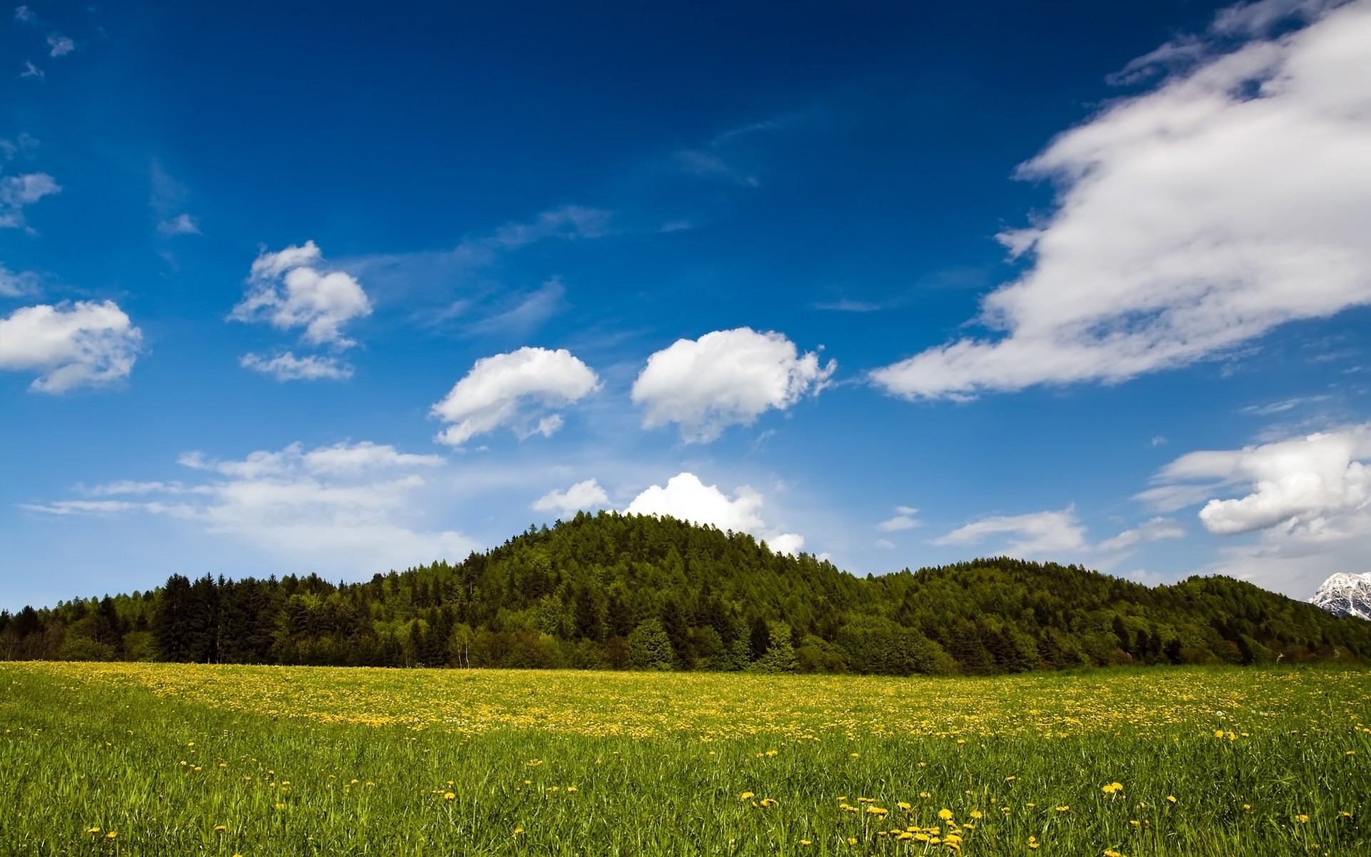 primavera paisagem céu natureza campo verão grama ao ar livre rural nuvem campo árvore agricultura bom tempo pasto fazenda sol feno idílio horizonte