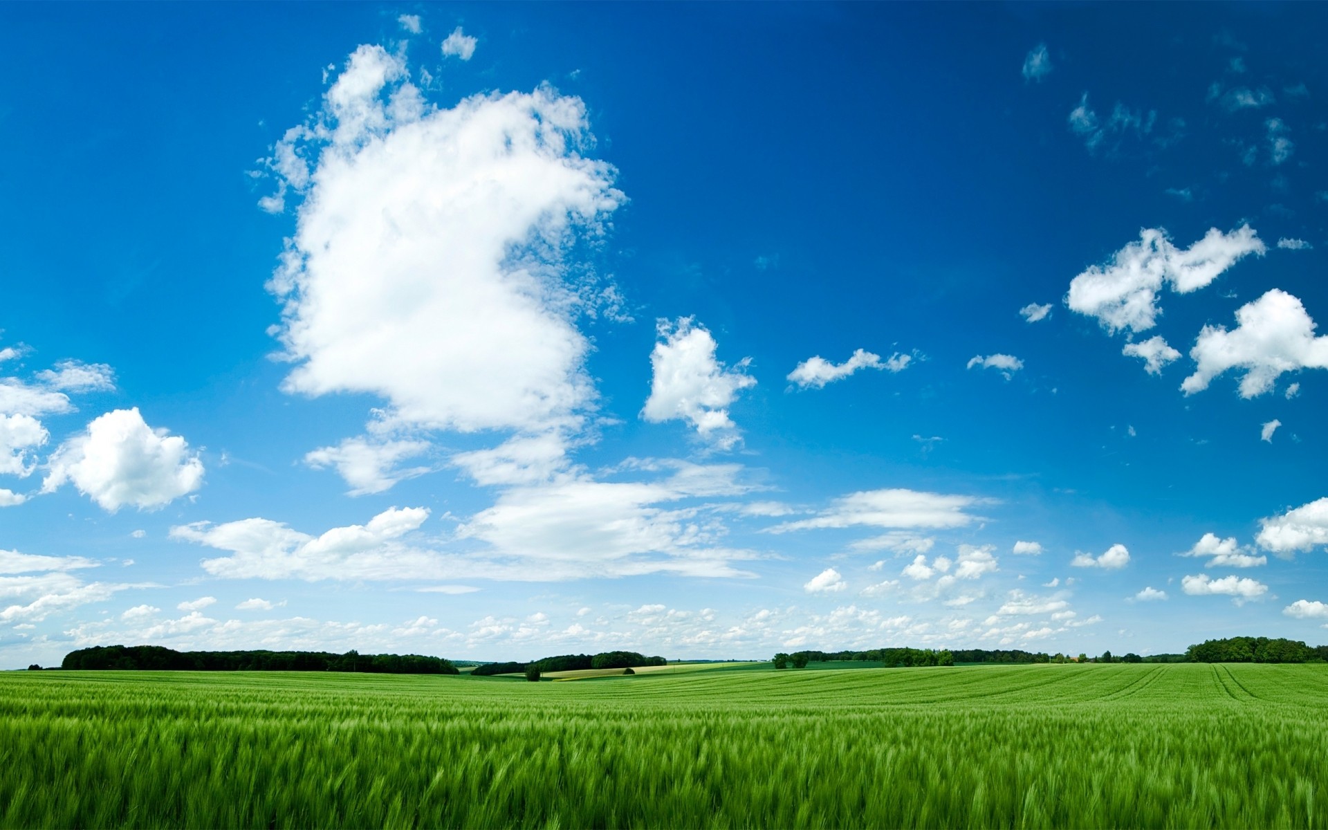 été rural pâturage herbe campagne nature champ extérieur ferme agriculture beau temps ciel terres agricoles idylle croissance sol soleil foin vert bleu