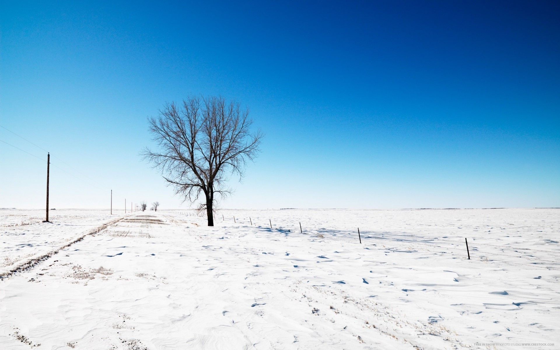 inverno neve paesaggio natura freddo tempo gelo albero cielo stagione congelato bel tempo ghiaccio all aperto