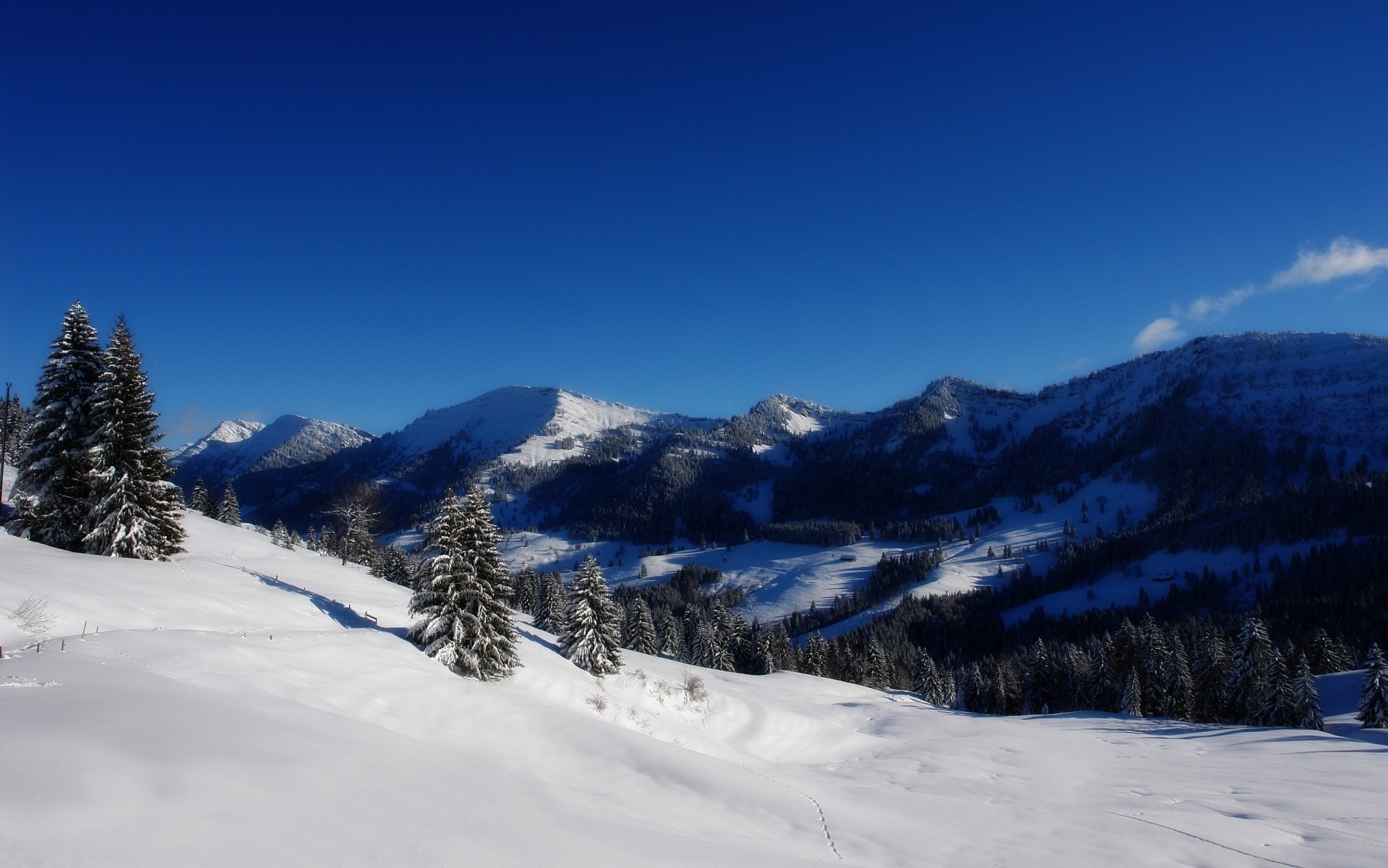 winter snow mountain cold wood ice scenic landscape mountain peak evergreen hill resort frost tree