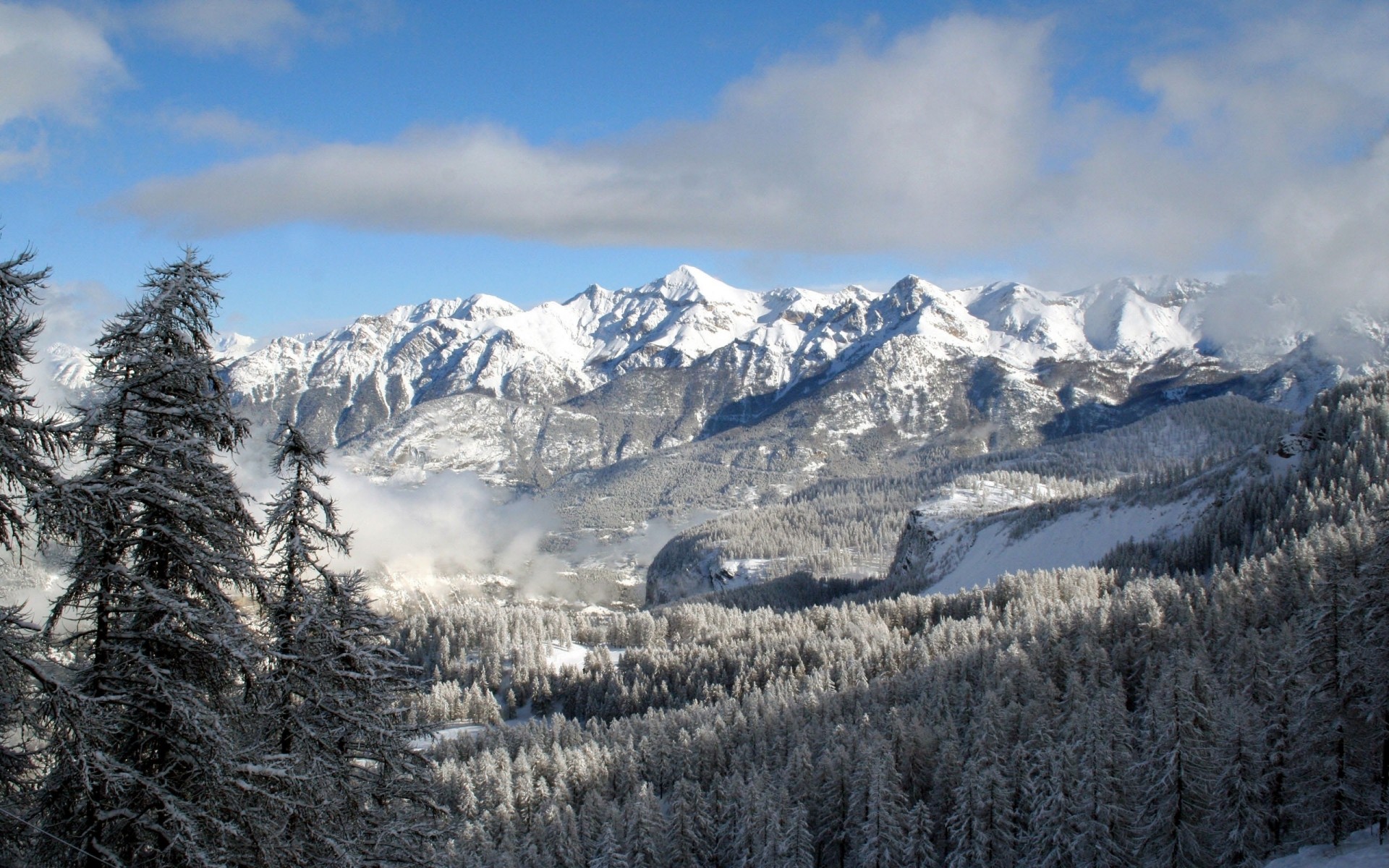 zima śnieg góry drewno zimno lód sceniczny śnieg mróz krajobraz evergreen szczyt górski iglaki