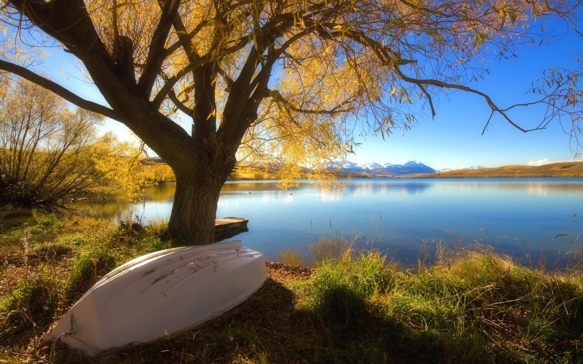 autumn tree landscape dawn fall lake water nature sunset outdoors wood scenic reflection sky leaf evening sun fair weather