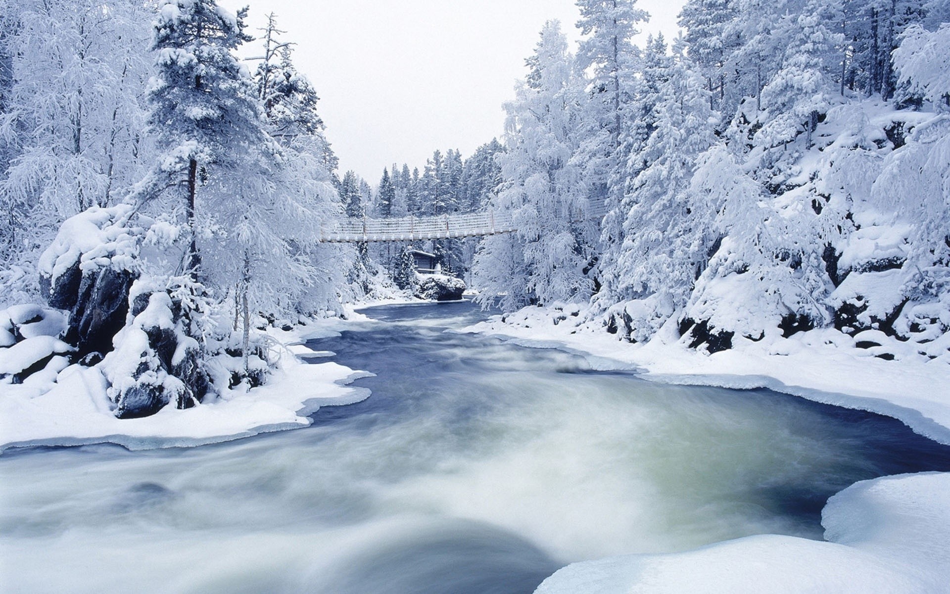 noël neige hiver glace froid montagnes congelés paysage scénique gel givré bois glacier