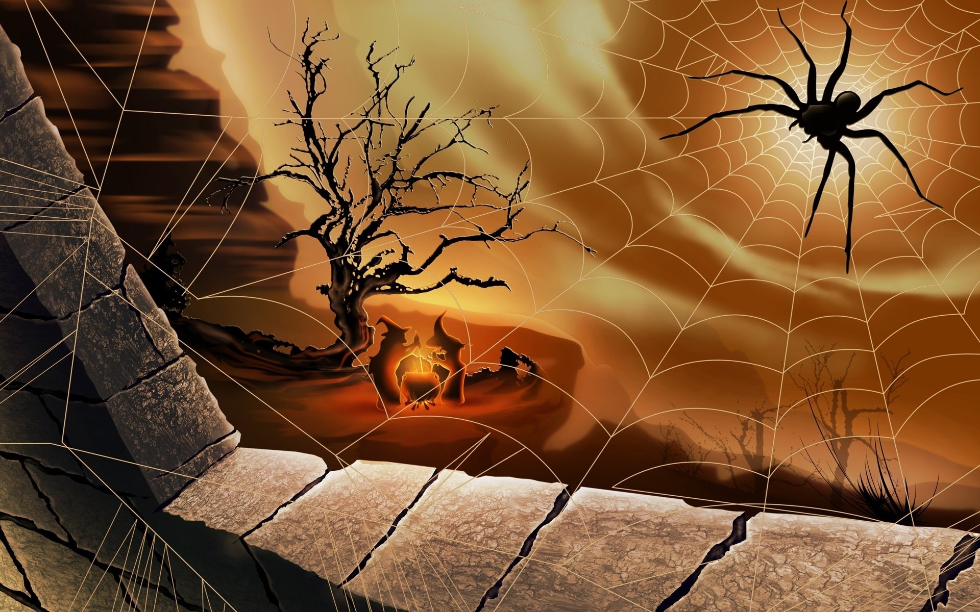 halloween spider nature sun spiderweb dawn sunset design arachnid abstract web desktop