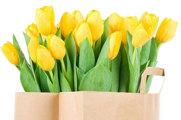 Tulipanes de primavera en una bolsa de papel