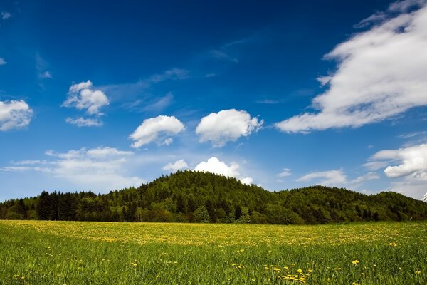 Sommerhimmel über der grünen Ebene