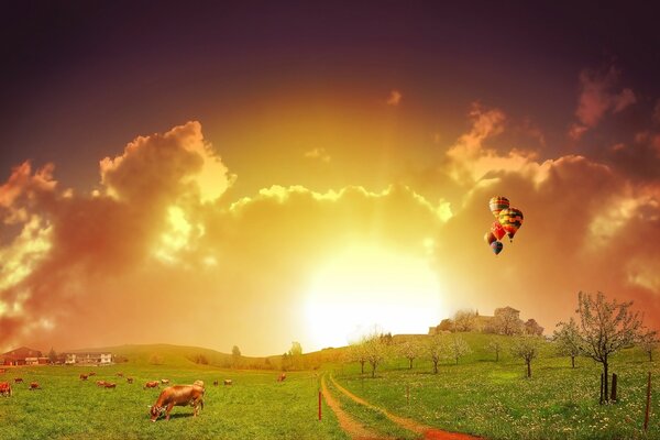 A peaceful rural picture in the light of the setting sun