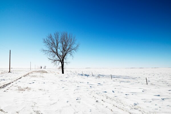 Paisaje de naturaleza fría de invierno en la nieve