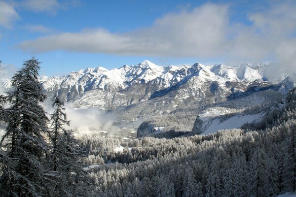 Winter mountains in the snow, among the trees