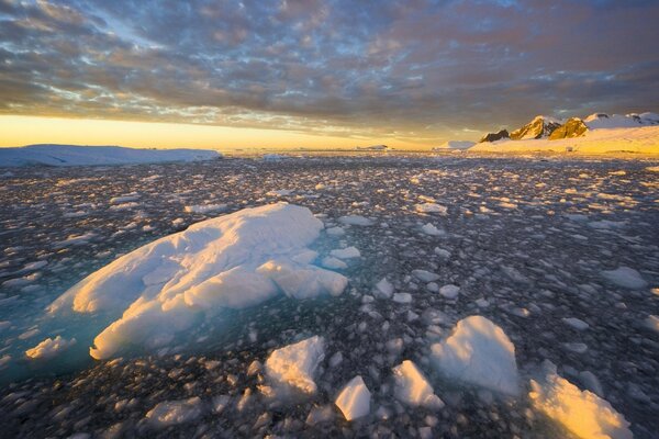 Puesta de sol de invierno, nieve en el agua