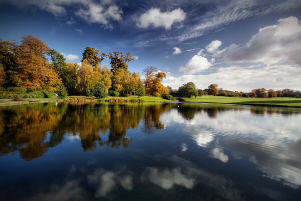 Reflection of the forest in a calm lake