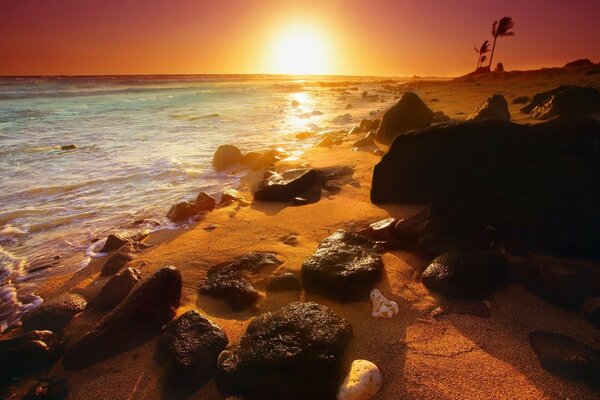 Summer beach with water at sunset and dawn