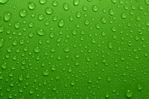 Капельки воды на зелёном фоне