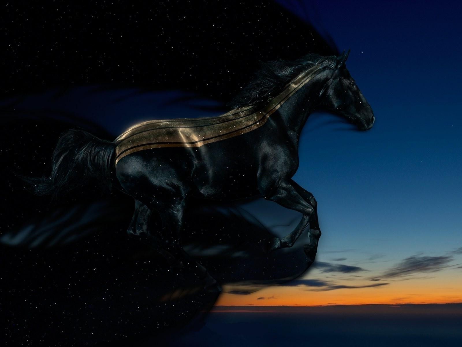 cavallo scultura singolo mammifero cavalleria adulto luce del giorno vista laterale arte illuminato azione movimento statua nudo ragazza cielo acqua paesaggio oceano