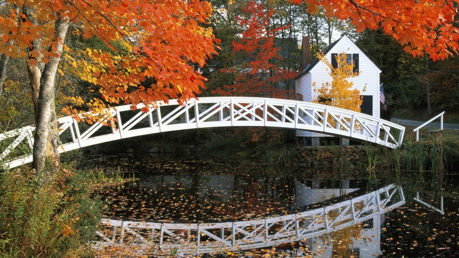 rivers ponds and streams fall tree outdoors wood leaf park travel landscape bridge architecture