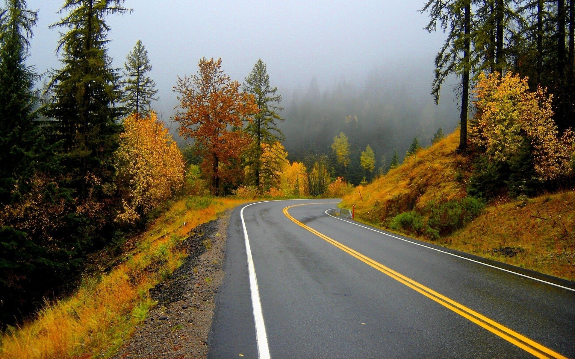 automne route automne à l extérieur bois manuel bois nature paysage feuille asphalte voyage autoroute campagne scénique