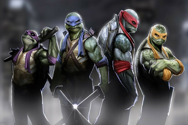 Famous ninja turtles in the graphics