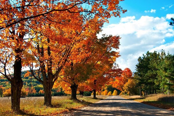 Landstraße im Herbst mit Wolken