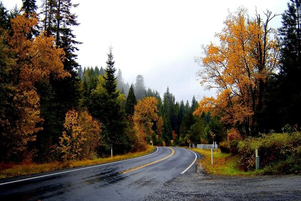 La strada per nessun posto dove andare