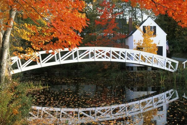 Haus mit Brücke über den Teich im Herbst