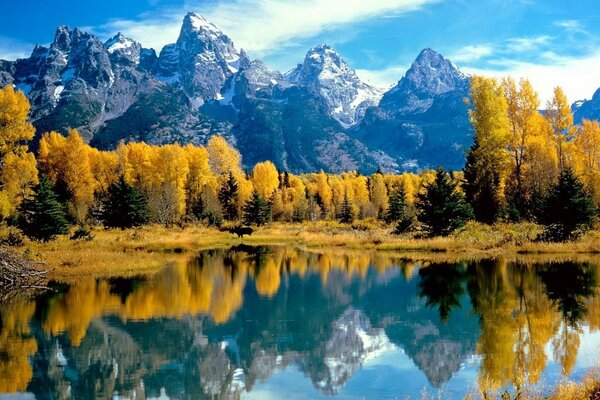 Paesaggio di montagna. Gli alberi gialli si riflettono nel lago