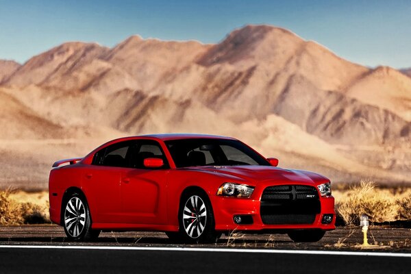 Red car on the road on a desert background