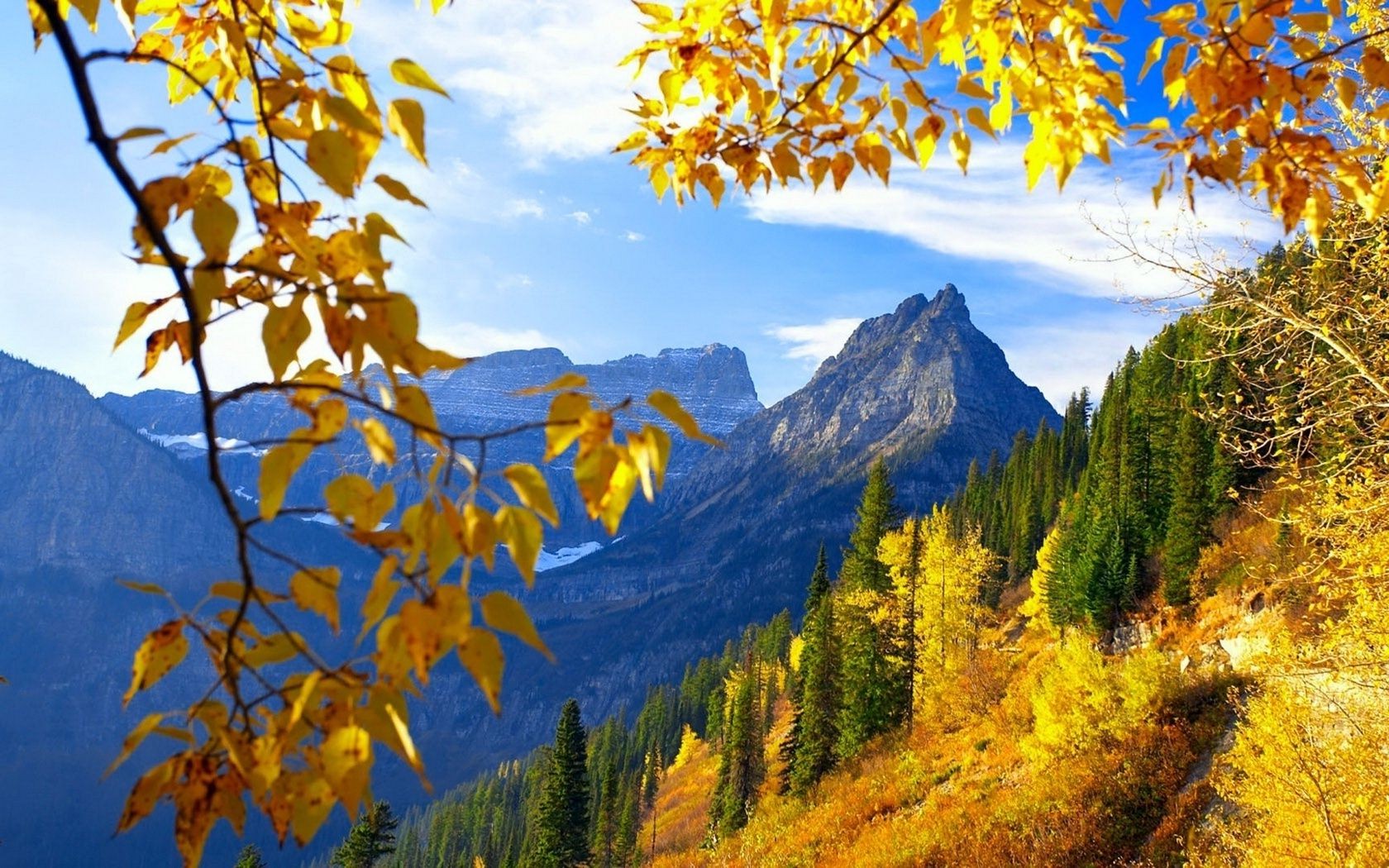 blätter herbst blatt holz holz im freien natur landschaftlich saison ahorn landschaft gold park tageslicht landschaft veränderung berge gutes wetter szene farbe