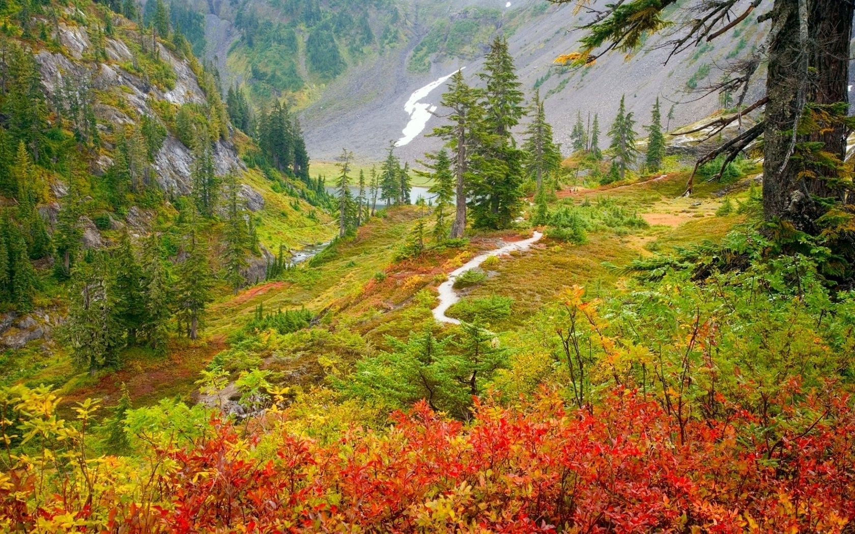 flüsse teiche und bäche teiche und bäche herbst holz natur landschaft blatt baum landschaftlich berge im freien saison reisen landschaft park wasser wild fluss medium farbe szene