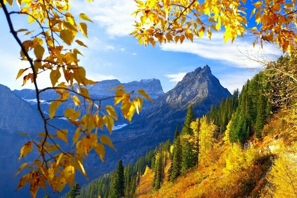 Herbstlaub auf dem Hintergrund der Berge