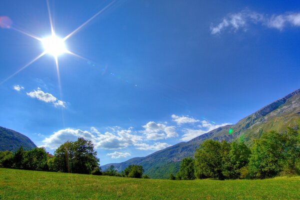 Schönes Foto von grünem Gras auf dem Hintergrund des blauen Himmels