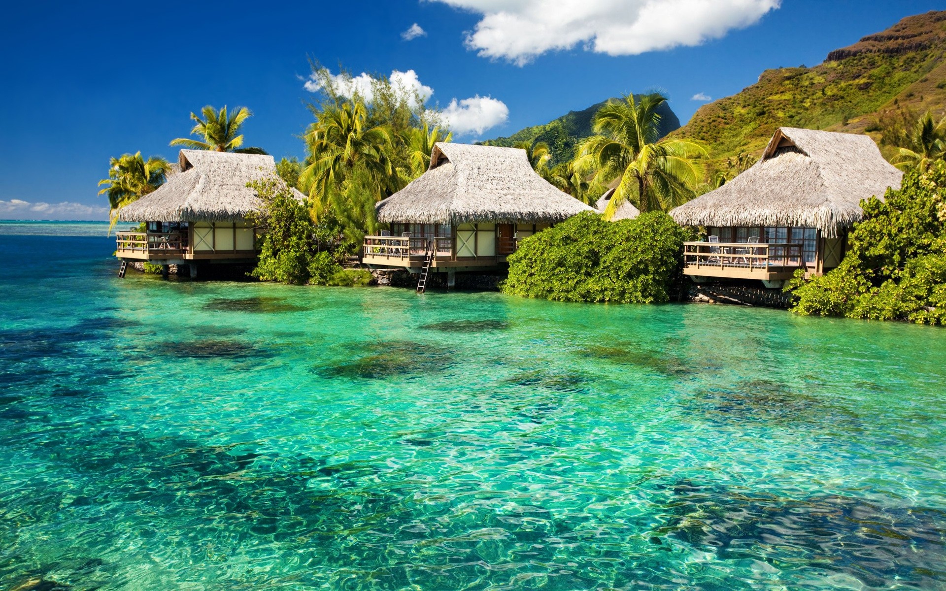 paysage tropical île eau exotique océan paradis station vacances voyage bungalow palm été plage hôtel cabane mer idylle turquoise lagon luxe mer soleil ciel