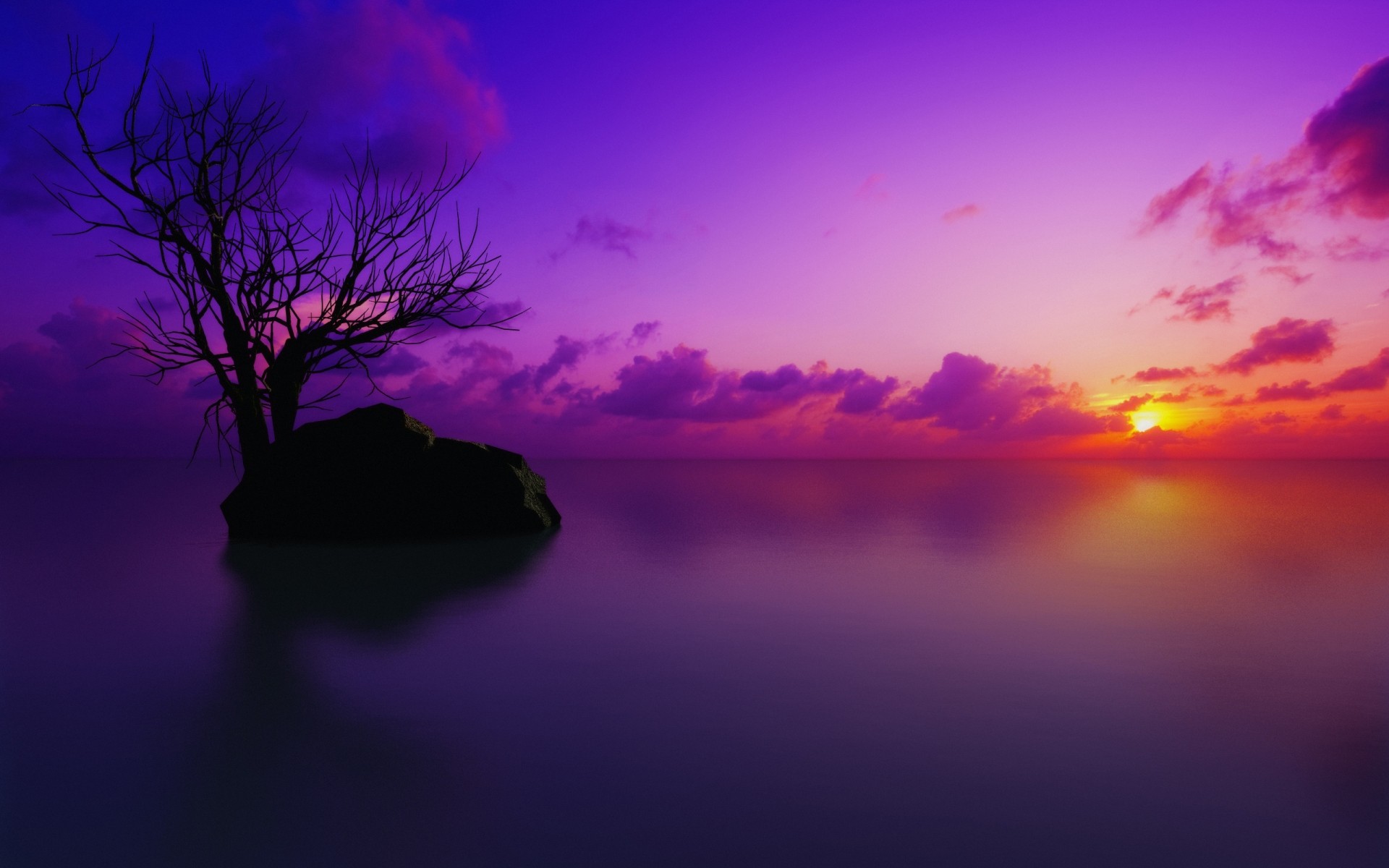 fantasie sonnenuntergang silhouette dämmerung abend dämmerung sonne himmel landschaft hintergrundbeleuchtung licht natur baum mond wolke farbe desktop wetter 3d digitale kunst wasser