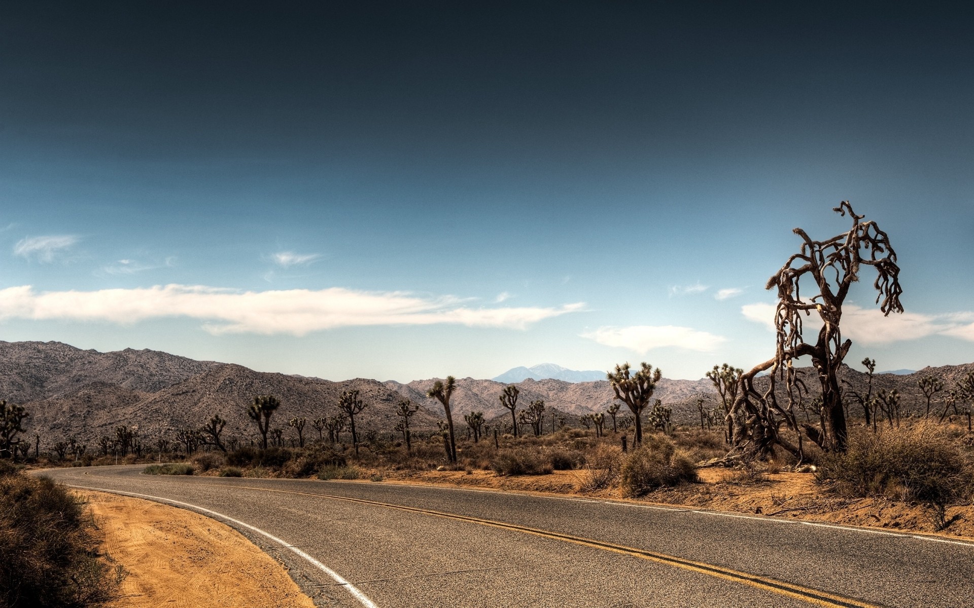 paisaje desierto paisaje carretera viajes cielo árbol naturaleza seco al aire libre árido montañas puesta de sol arid carreteras montañas nubes