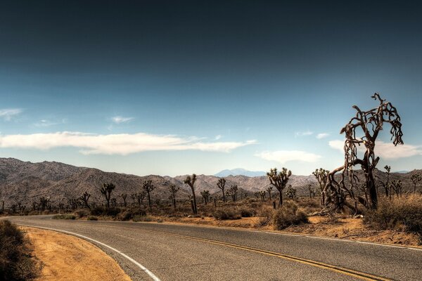 Highway in the desert. Traveling by car