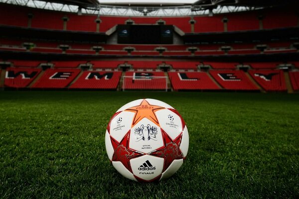 Balón de fútbol en el césped del estadio