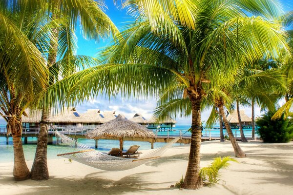 Relaxing on a tropical beach with sand