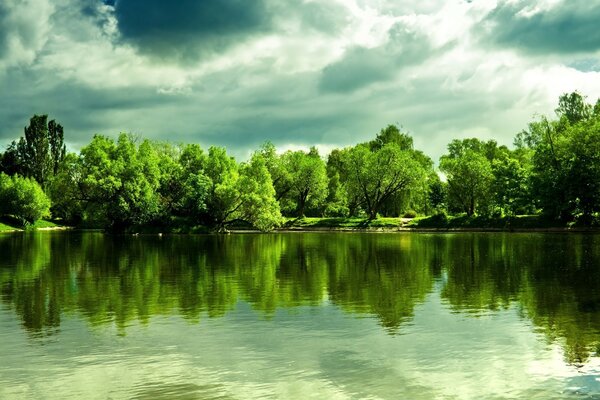 Landscape of summer nature, water and sky, and trees