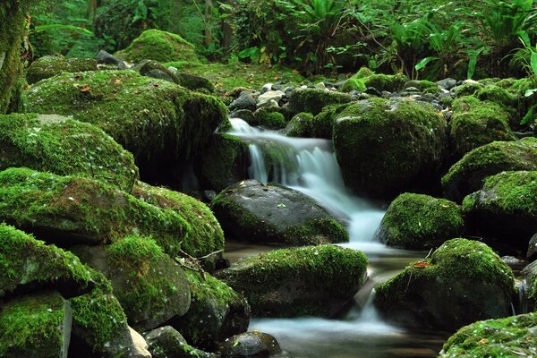 Mountain landscapes of green moss and blue water