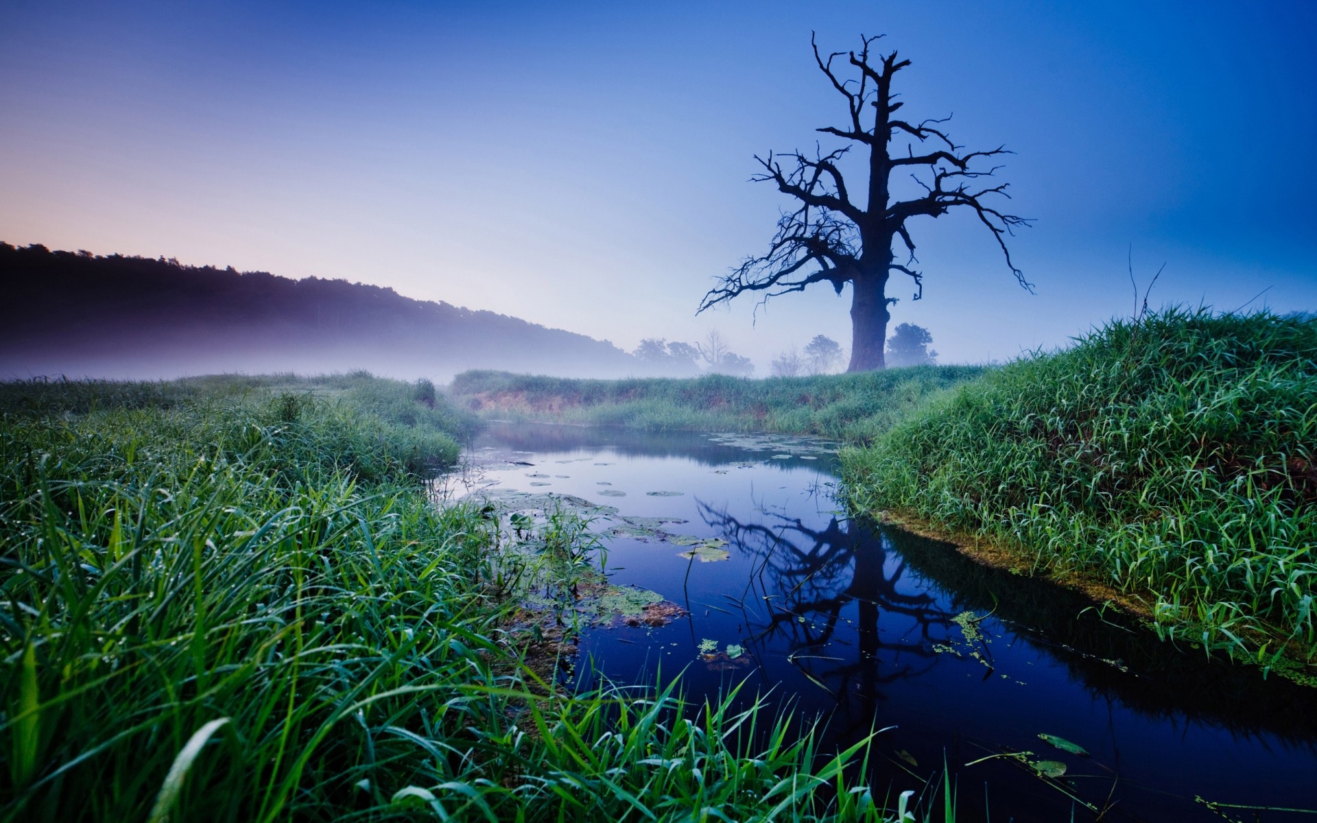 landschaft landschaft natur wasser baum himmel gras see holz im freien reisen landschaftlich schön sommer flora spektakel dämmerung umwelt fluss grün sonnenaufgang bäume