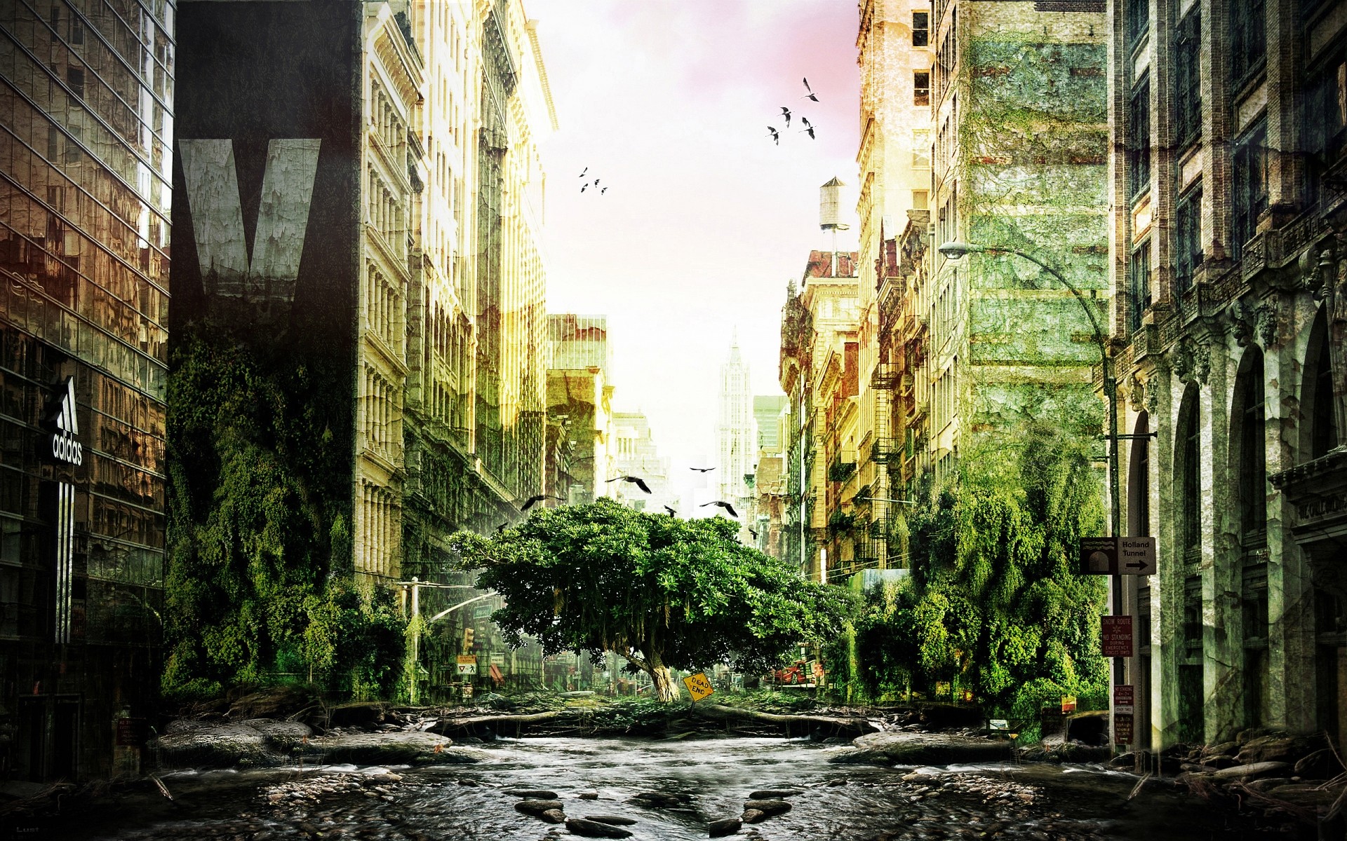 photo manipulation architecture building city old travel street window outdoors urban green tree manipulated buildings