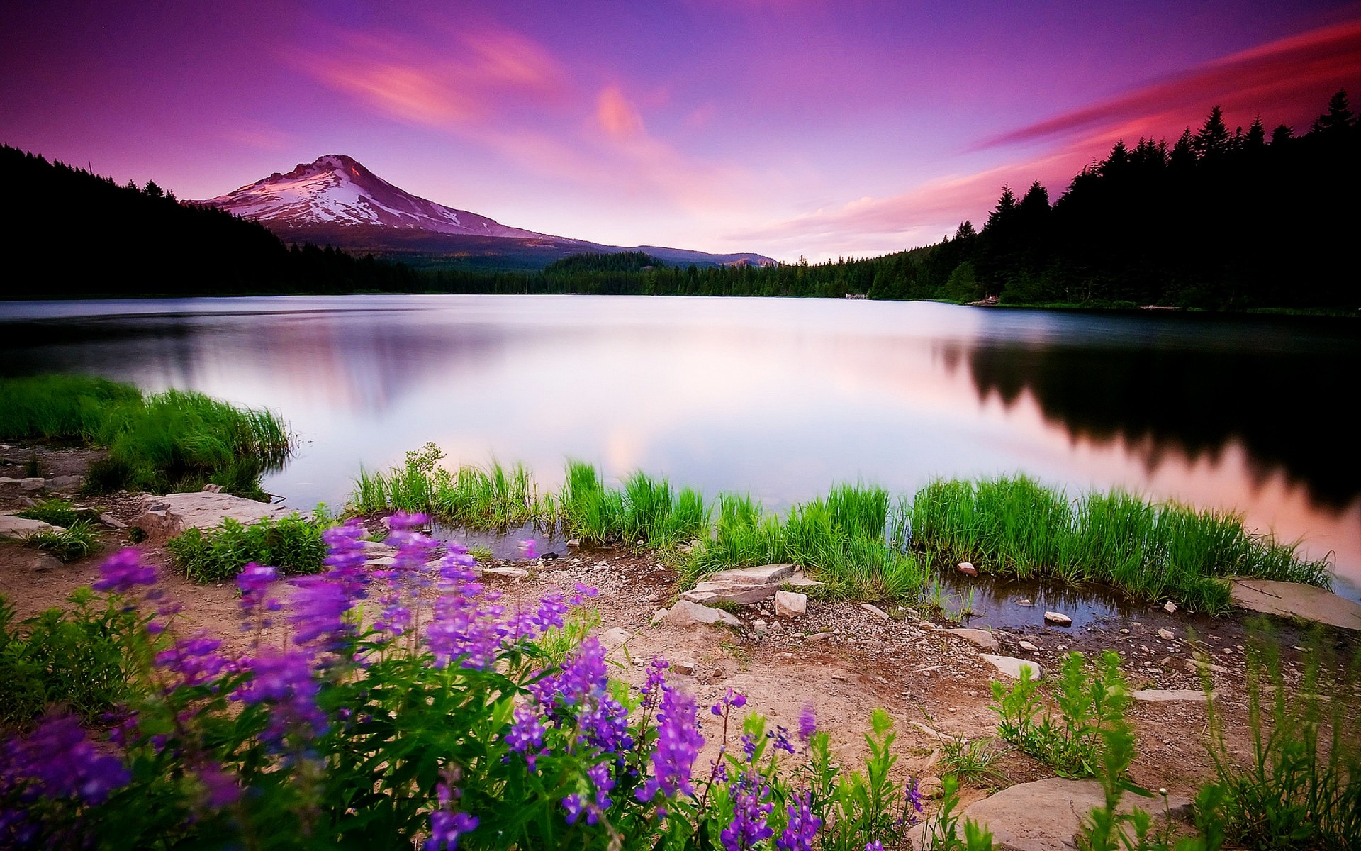 landschaft wasser natur see im freien landschaft sonnenuntergang reisen himmel dämmerung sommer fluss reflexion gras bäume wald drc