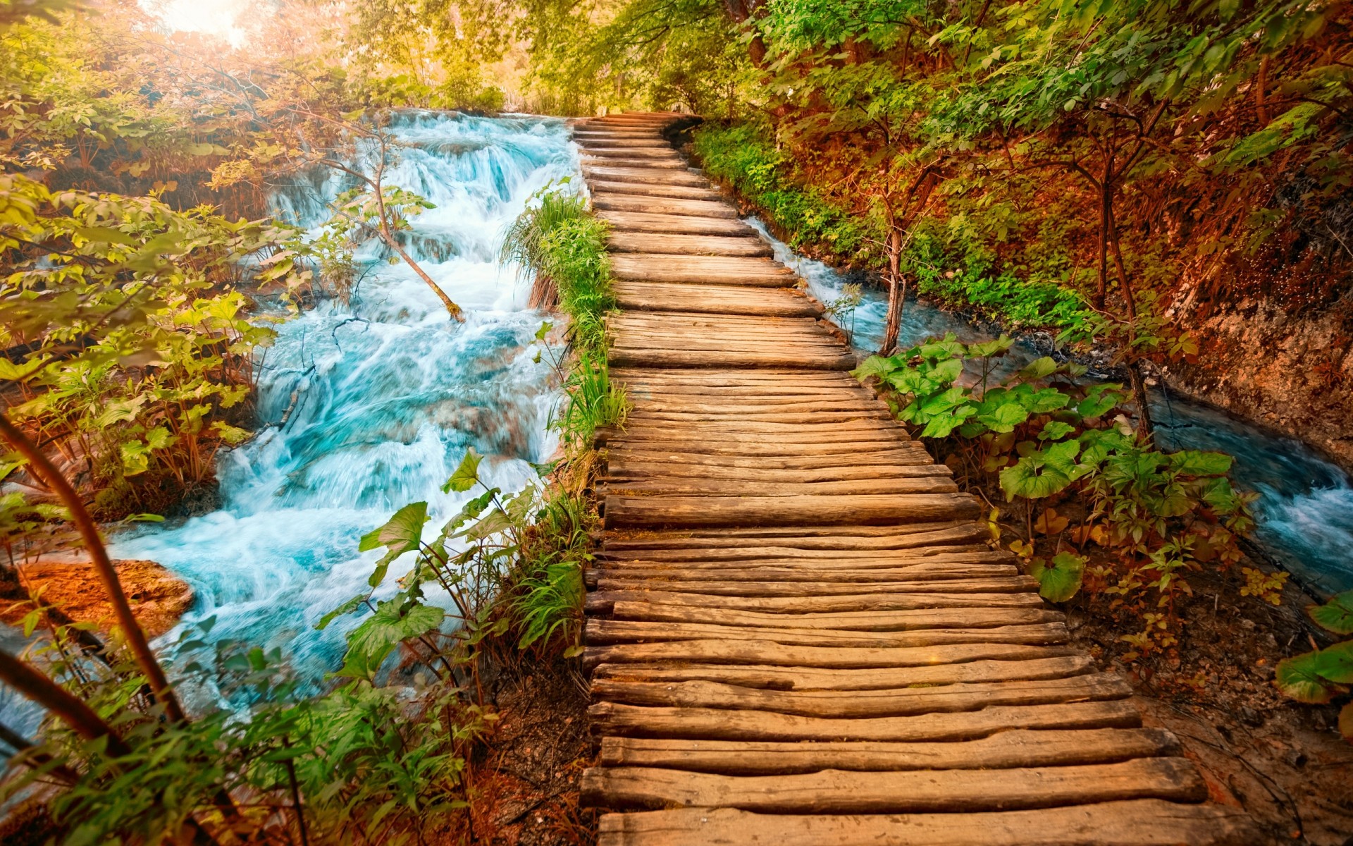 landschaft holz natur blatt wasser herbst baum landschaft park saison im freien fluss schön reisen landschaftlich landschaft flora wald wasserfall foto hintergrund bäume