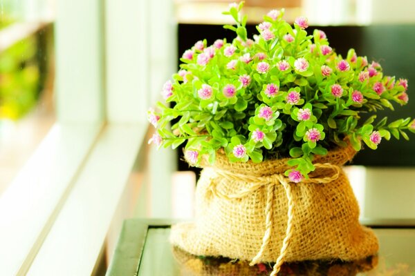 Vaso de flores de pano