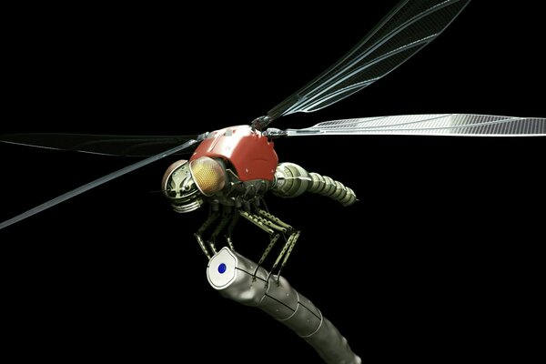 Dragonfly insect for desktop