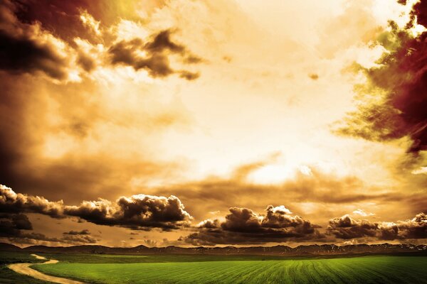 Golden sunset over the meadow