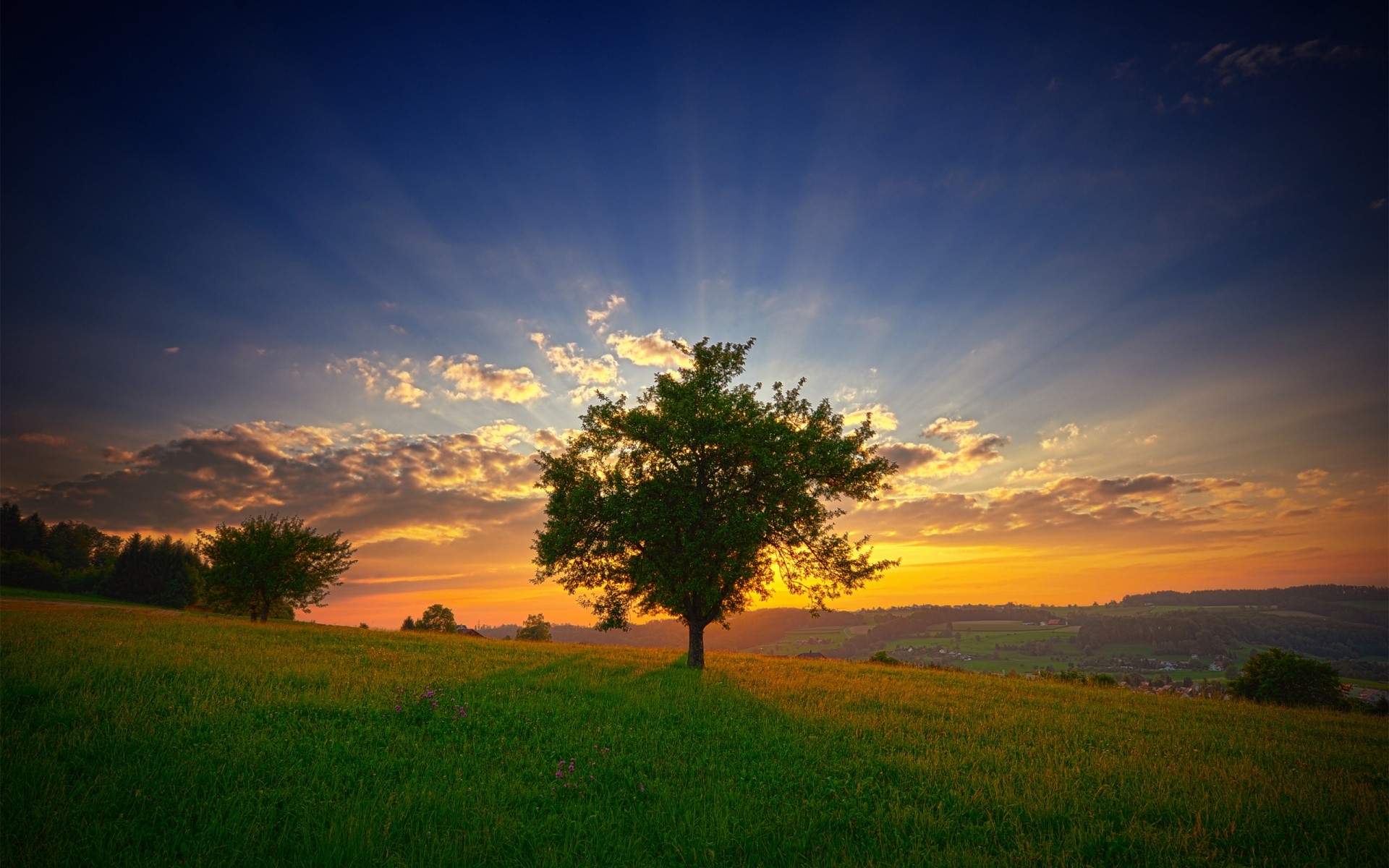 landschaft sonnenuntergang dämmerung sonne abend landschaft himmel baum natur dämmerung gutes wetter im freien gras landschaft licht hintergrundbeleuchtung feld grill