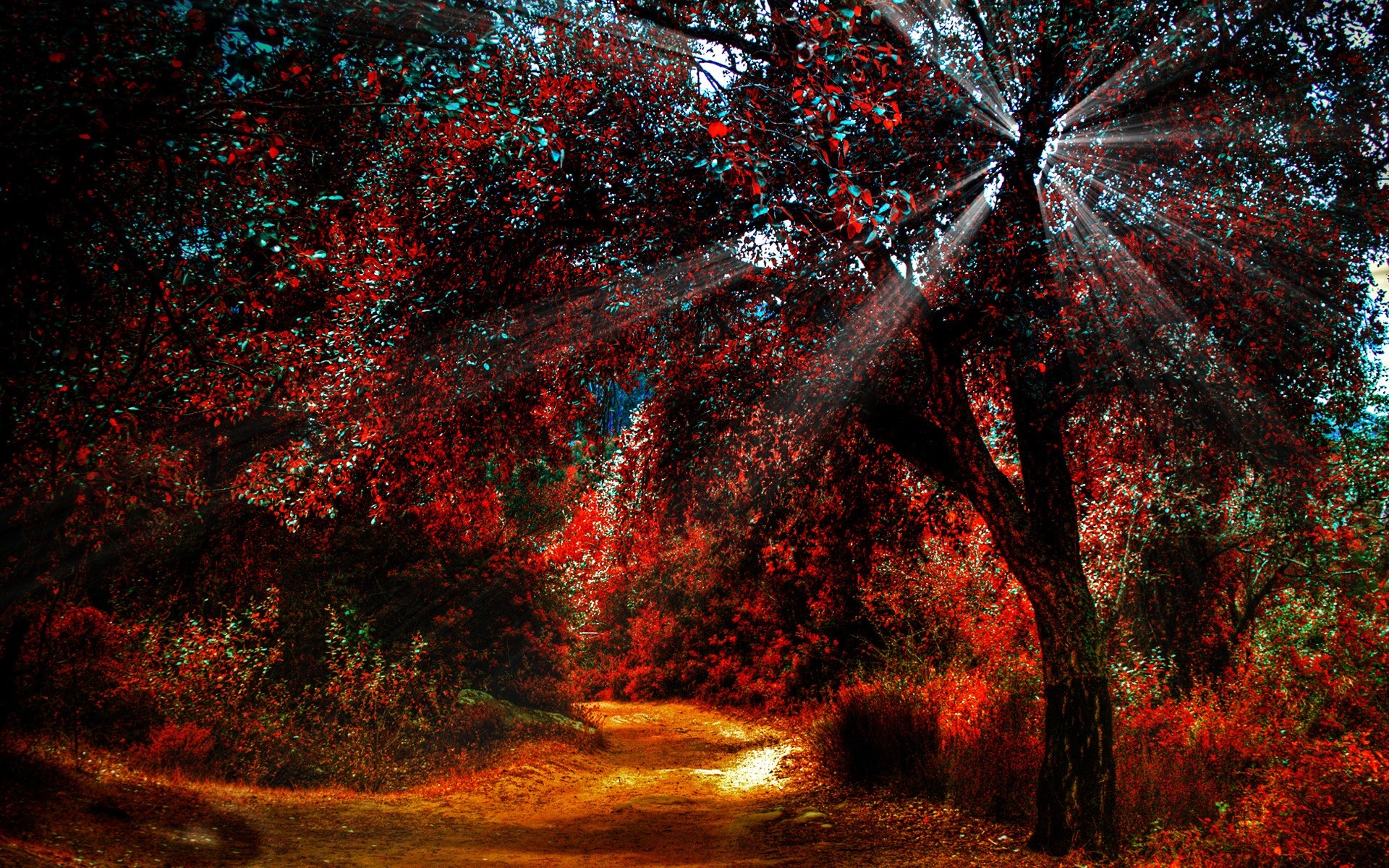 herbst baum herbst blatt landschaft natur desktop saison bäume pfad wald ansicht