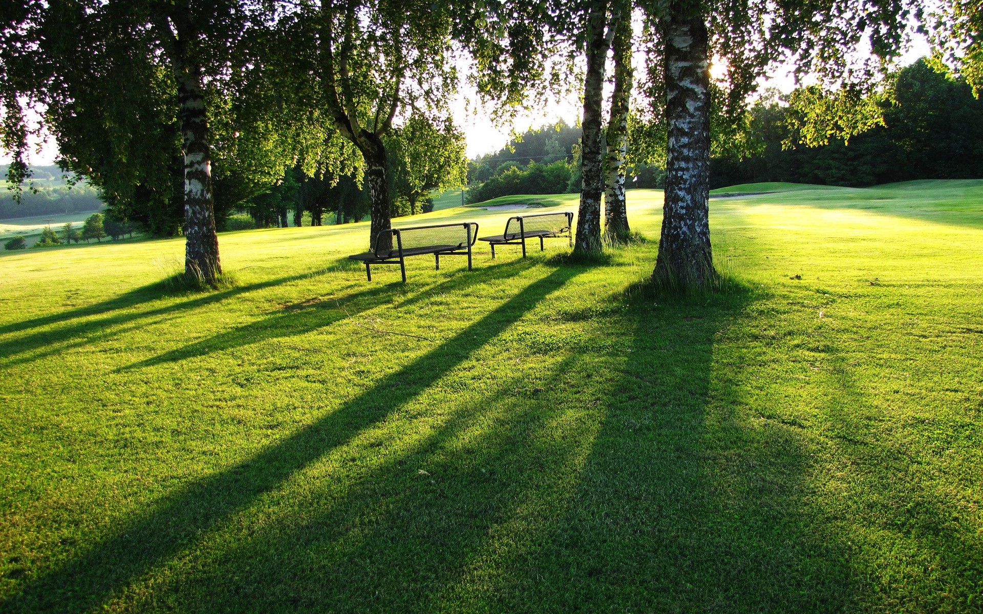 paysage herbe paysage arbre pelouse nature parc été foin golf rural pittoresque bois beau temps pays environnement soleil feuille spectacle saison arbres ensoleillé journée colline printemps