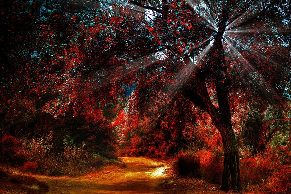 The magic of autumn in the last rays of the sun