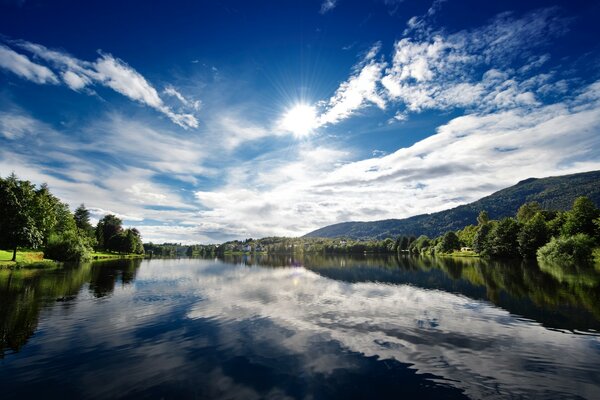 Wolkenloser Tag am Waldfluss